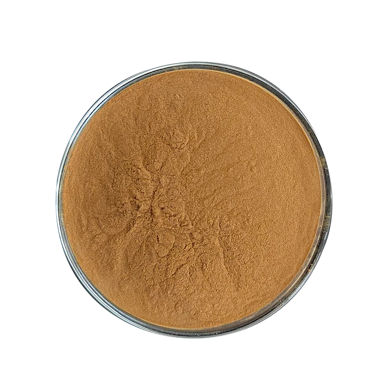 Large Stock Available Food Additive Shellac Powder CAS 9000-59-3