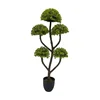 Green-TZL2411123