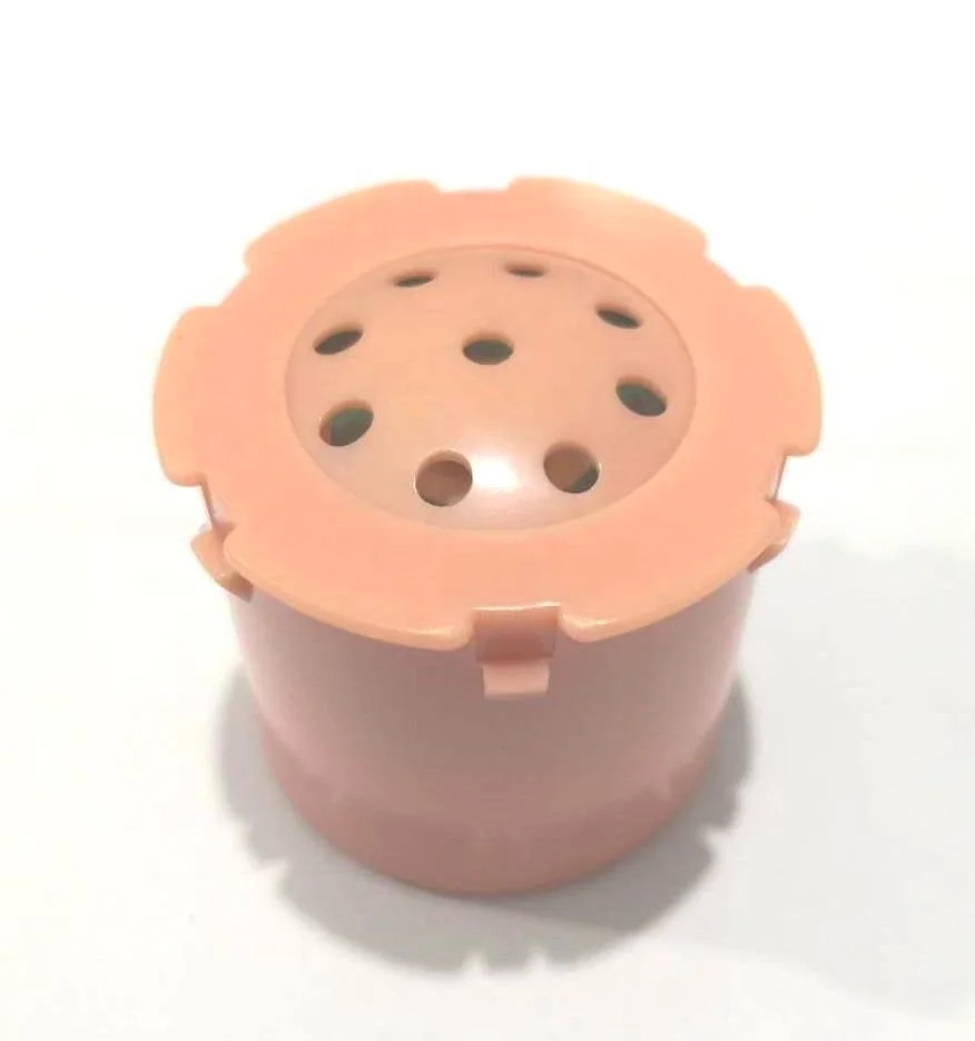Animals Sound Custom Music Sound Box Bird Sound Box Baby Doll Education Toys Doll Accessory Baby Car Toys Mechanism