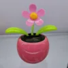 Rosado