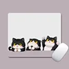 Gato gordito 0480