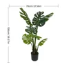 XY2501-254 90CM