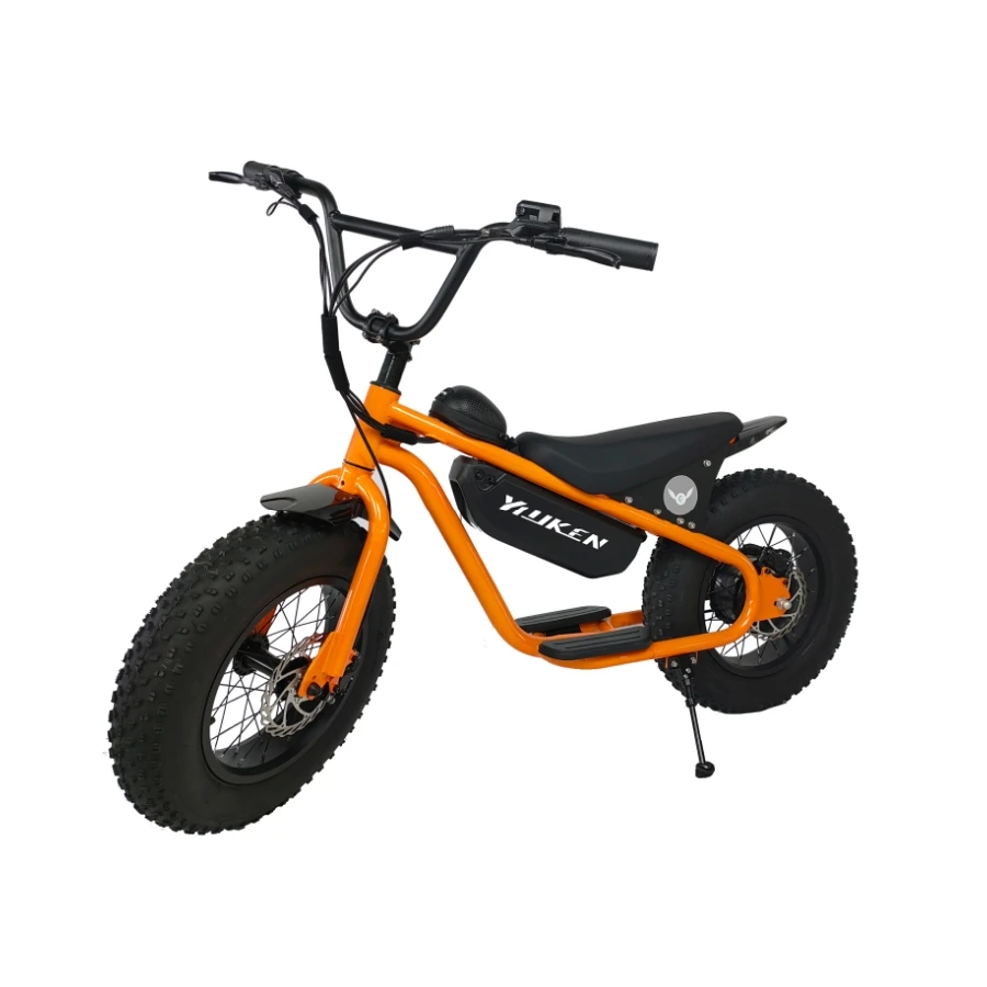 Kids Electric Fat Tire Bike 48v 1000w Ebike Electric Bike Fat Tyre 