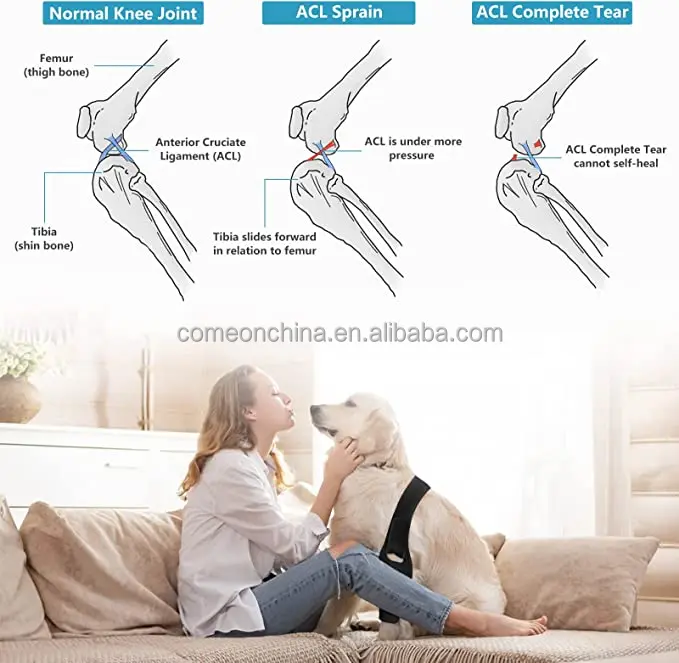 Dog Knee Brace for ACL with 10 Side Stabilizers Support Dog Leg Brace for Back Legs Cap Recovery Sleeve Pet Dog Knee Brace