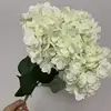 Blanco crema
