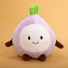 Cebolla