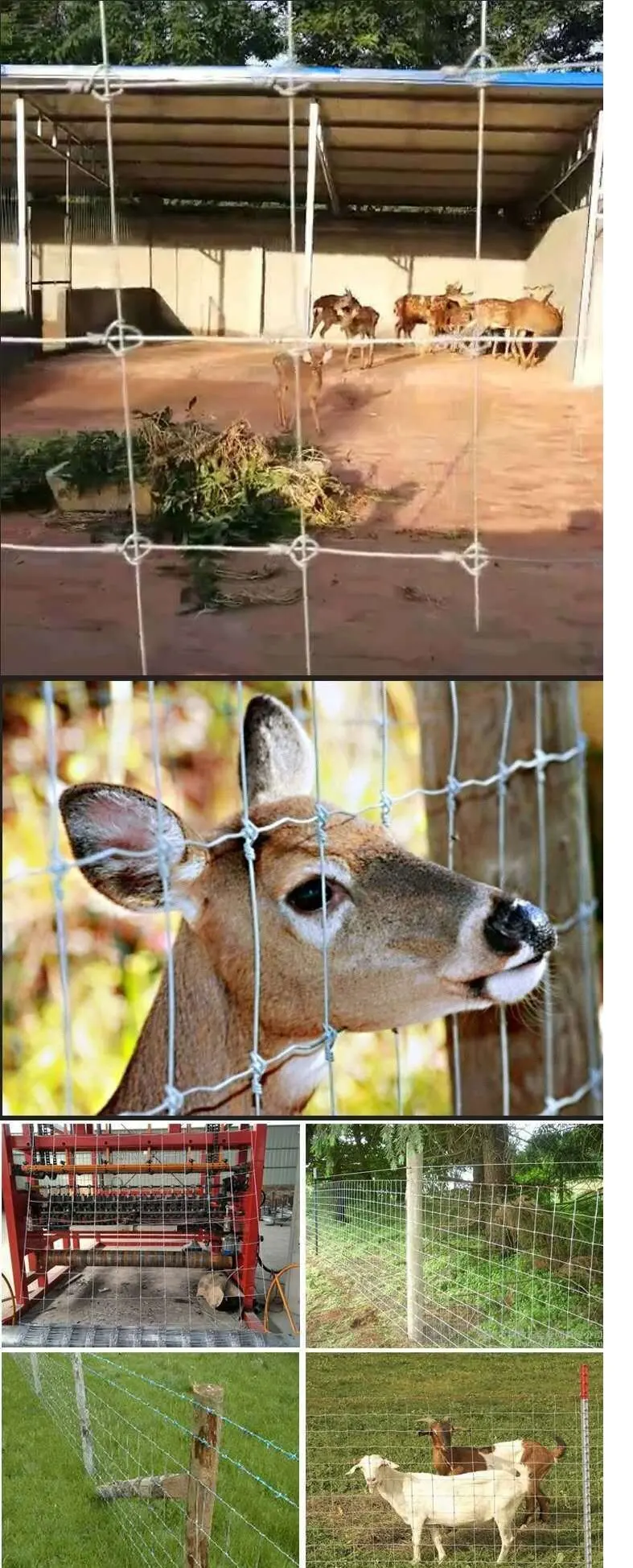 Galvanized Cattle Fence Grassland Fence Guardrail Cattle Sheep Pig Pen Livestock And Poultry