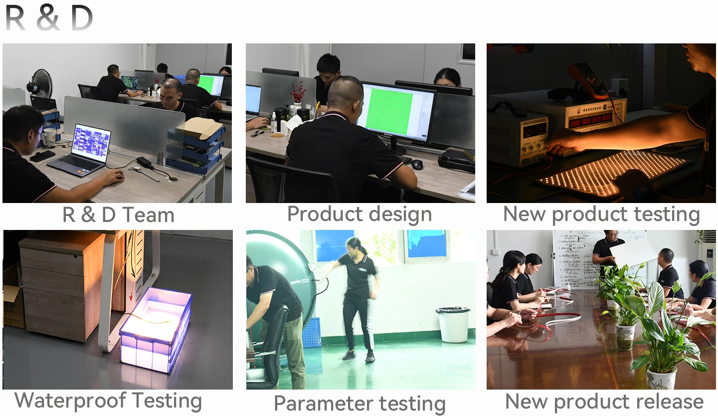 12V 10mm  High CRI Bi-Color LED Strip 2835 240led/m CCT tunable Ra95 led ribbon