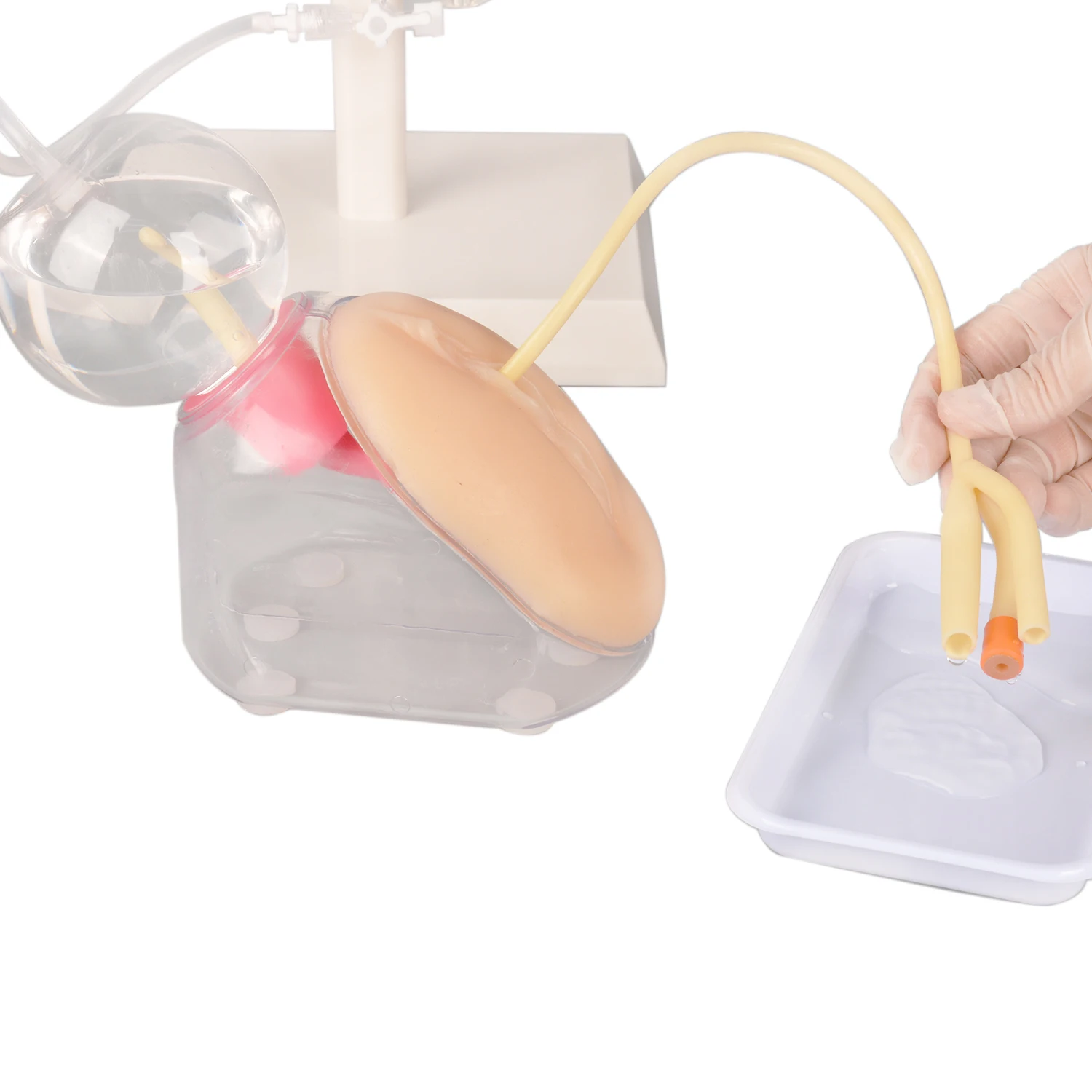Female Urinary Catheterization Model Urethral Catheter Insertion Practice Training Tools Medical Simulator