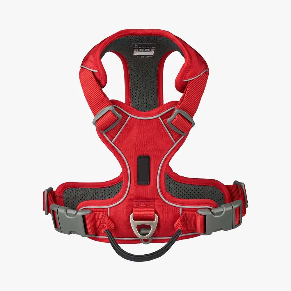 Dog wearing tactical harness outdoor walk