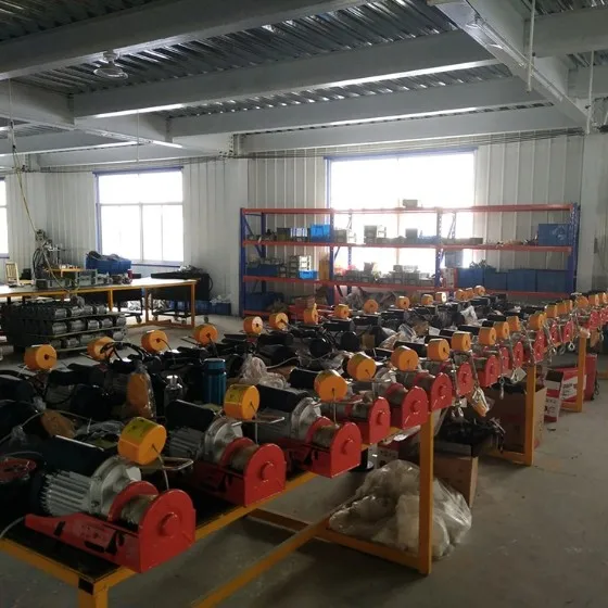 Wireless Remote Control Mini Micro Wire Rope Electric Hoist Construction Hoist Lifting Goods Pa1000 Electric Wire Rope Hoist