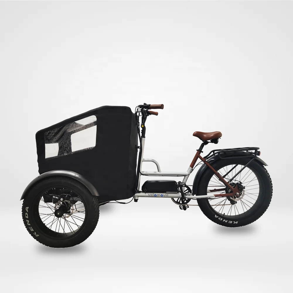 Tricycle Motorized Cargo Electric Bicycle Velomove VMST4