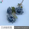 Three-headed diamond rose JJTY blue