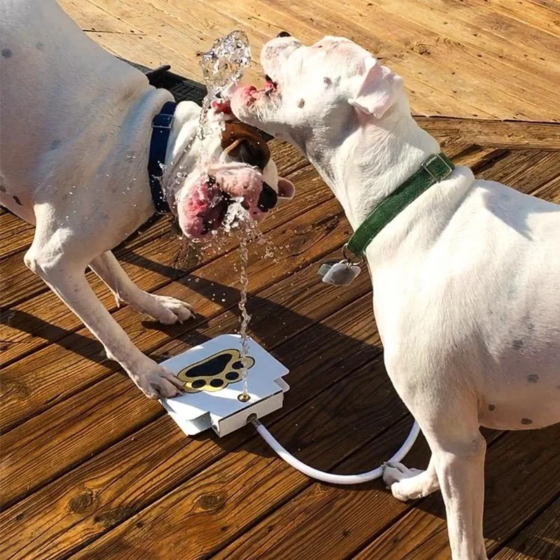 Dog Water Fountain Upgrade Sprinkler For Dogs Dog Water Fountain