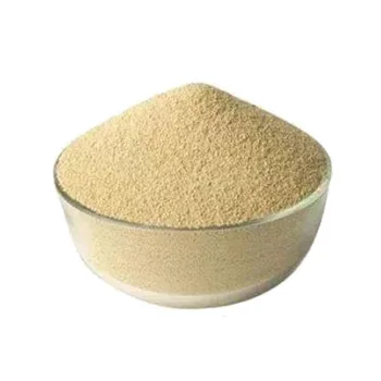 high nucleotide yeast extract food grade