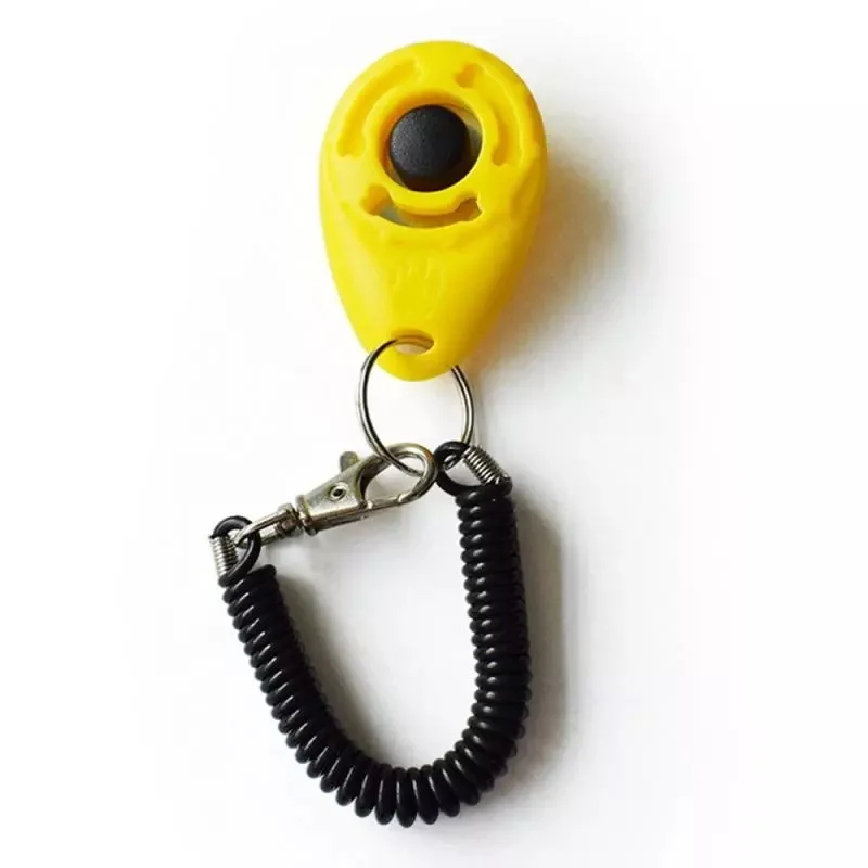 FA003 (9).jpg