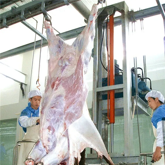 Modern beef processing plant turnkey project with cattle slaughtering equipment and cold chain storage system