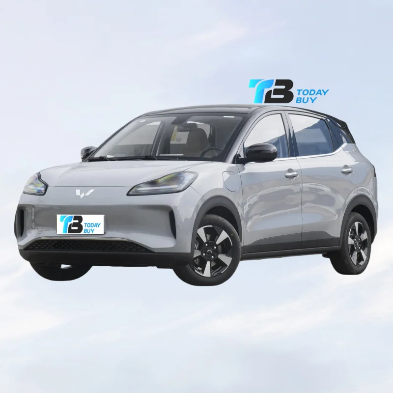 Novo Carro Elétrico 2024 Wuling Bingo Plus 510Km EV Elétrico Puro Carro Pequeno Bingo Plus  