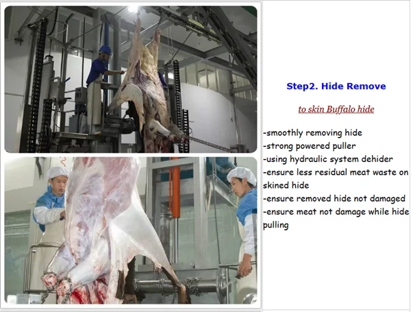 Ritual cattle slaughterhouse and cattle slaughterhouse meat traceability system equipment
