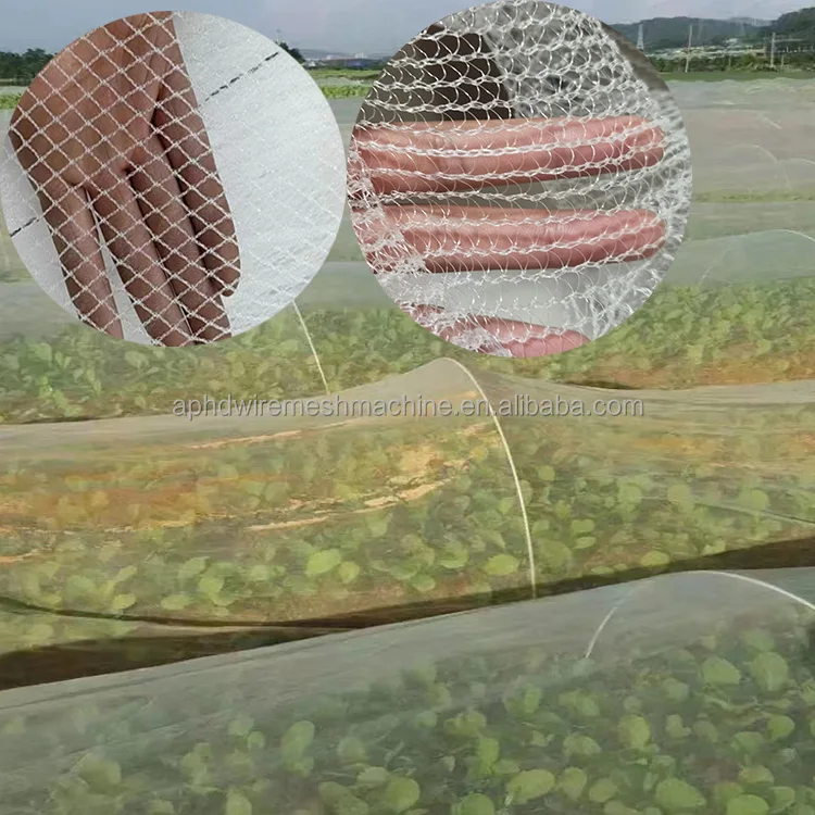 China Hail Net Manufacturer Agricultural Apple Tree Anti Hail Netting