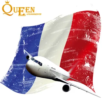 Shenzhen FCL Boat Duty-free Sea Shipment France Professional Freight Forwarder Ddp Railway Logistic FBA air Consolidation Cost