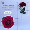 Rosa de terciopelo de un solo tallo, cabeza curvada, rojo intenso.