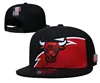 25 Chicago Bulls
