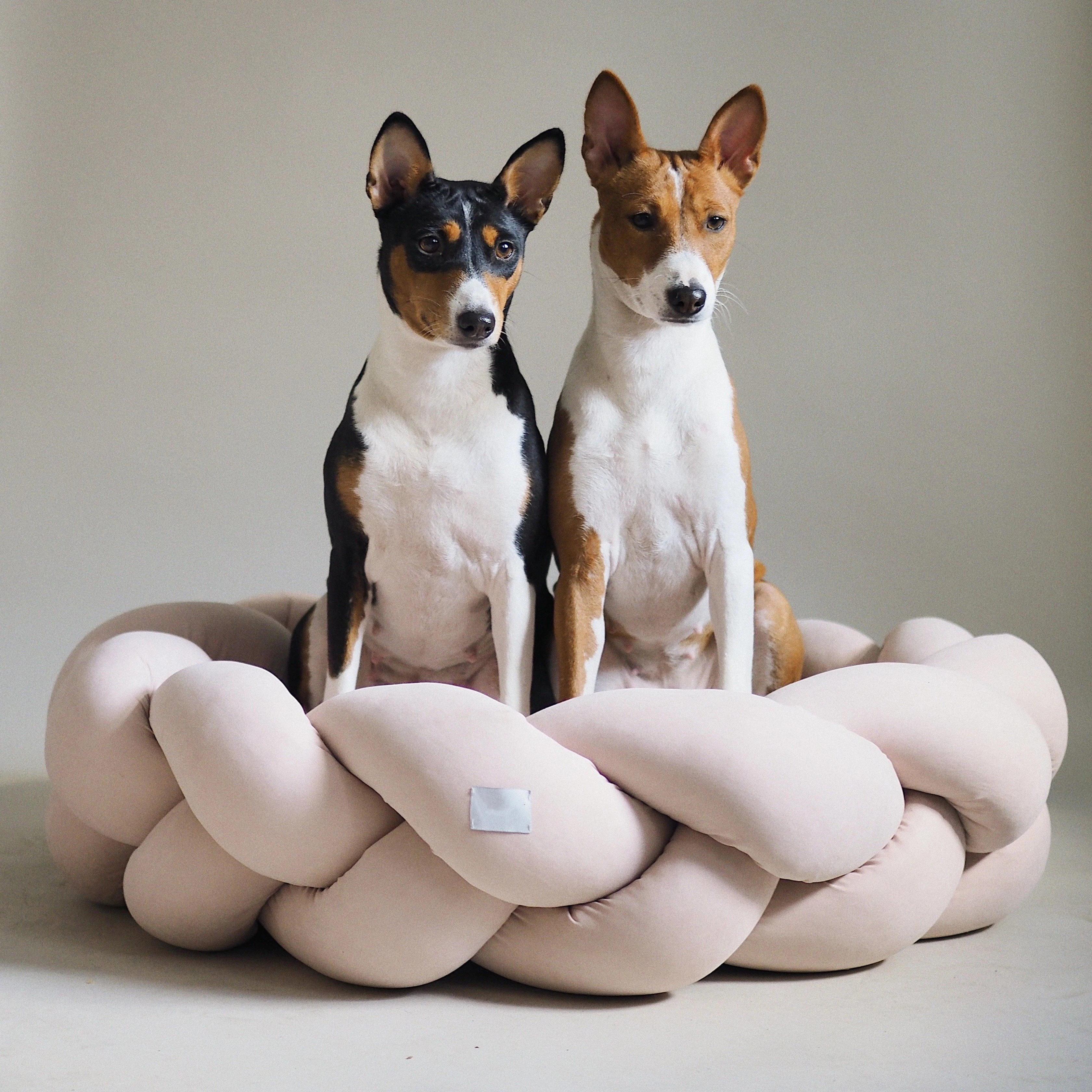 Luxury Sofa Pet Bed Removable, Cozy, and Breathable