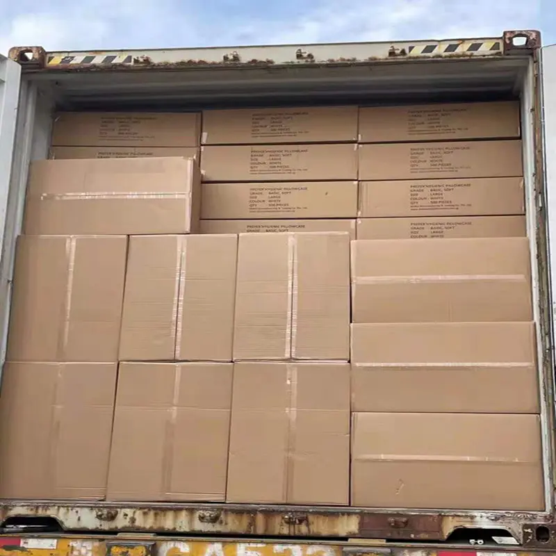 Nonwoven Disposable Beard Nets manufacture