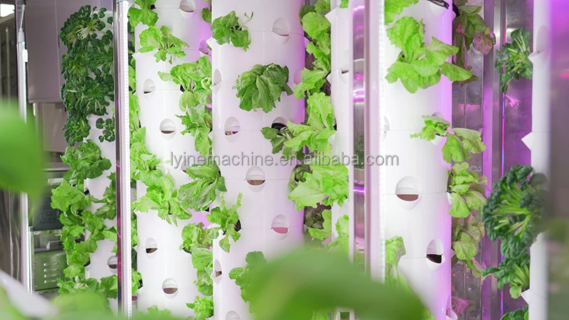 Smart Hydroponics Shipping Container Farm Vertical Tower Farming Containers Hydroponic Growing Systems for Vegetable