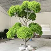 Árbol verde