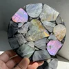 Purple Labradorite Coaster
