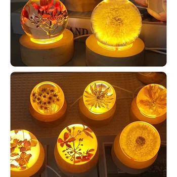 Hot Sale USB LED Night Light Natural Crystal Ball with Star and Celery Flower for Home or Bedroom Rose Flower Specimen