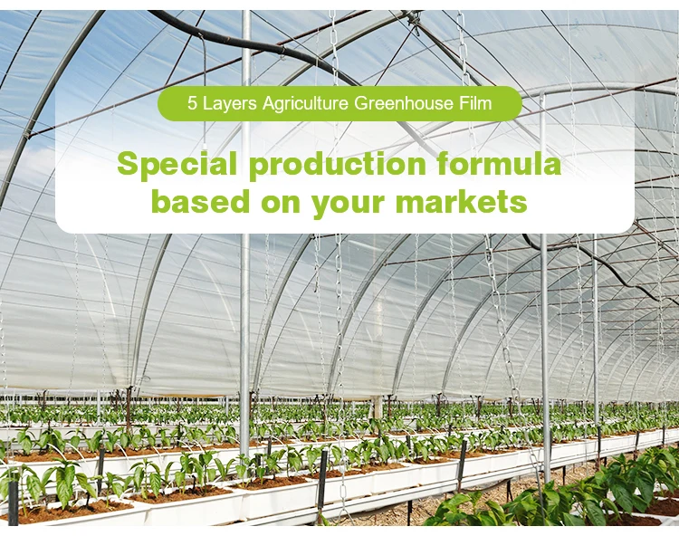 200 Mic Anti Uv Greenhouse Film Greenhouse Sheet Greenhouse Cover