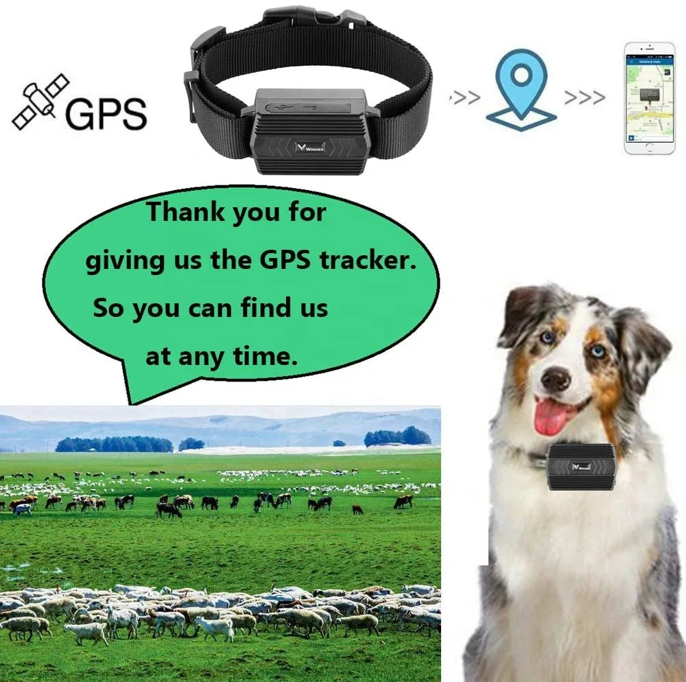 TKSTAR Latest GPS Tracker TK935 for Animal Tracking with Collar Gps Para Localizar Mascotas Extraviadas