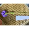 Garofano viola con confezione indipendente