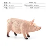 Bl-5011 pig 7g