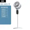 White remote control model