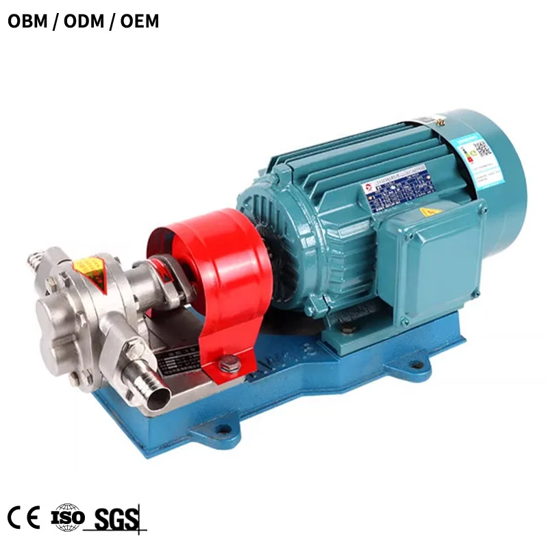 110V Stainless Steel Kcb 55 83.3 Electric Palm Hot Cooking Oil Transfer Pump Oil Gear Pump Kcb 200 1.1kw 380V