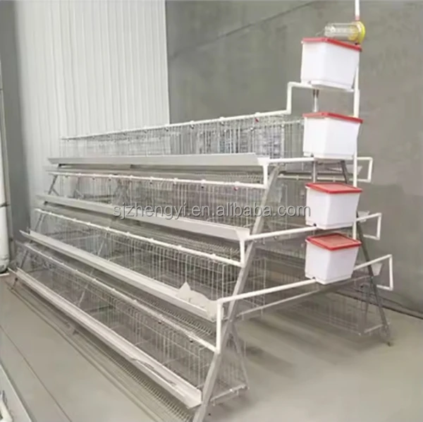 Galvanized Battery Chicken Cages Sold to Distributors in Mozambique