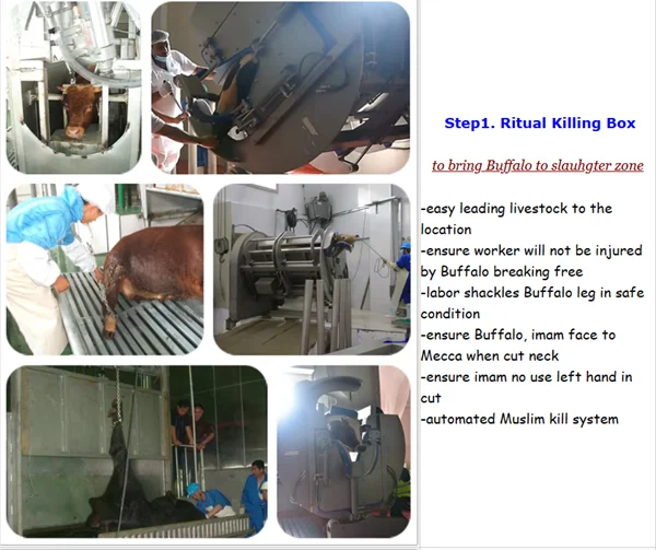 Ritual cattle slaughterhouse and cattle slaughterhouse meat traceability system equipment