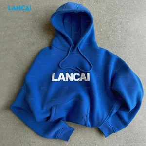 High Quality 3d Puff Print 300 500 Gsm Heavyweight Cotton Oversized Hoodie Custom Logo Luxury Hoodies Women