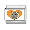 Silver5