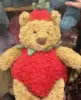 Orso di fragole