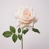 Colore in polvere di latte di rosa turco a stelo singolo idratante al tatto