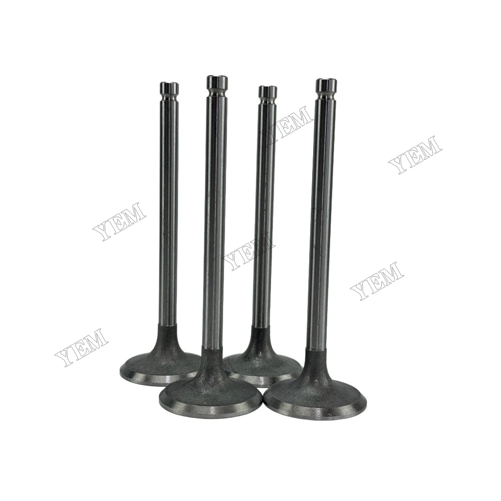 Intake Valve Fit for Xinchai C490BPG Engine 2