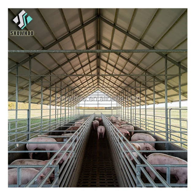 Low Cost Prefabricated Steel Frame Housing Pig House Building for Sale