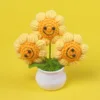 3 têtes et 4 cercles smiley plantes en pot