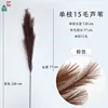 Single 15-hair reed, brown