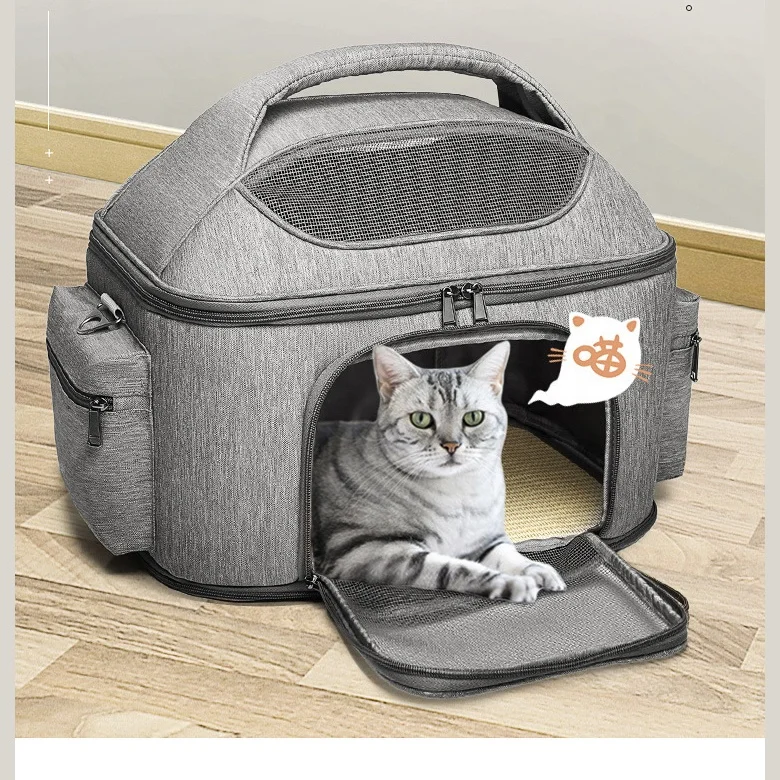 fancy cat carrier